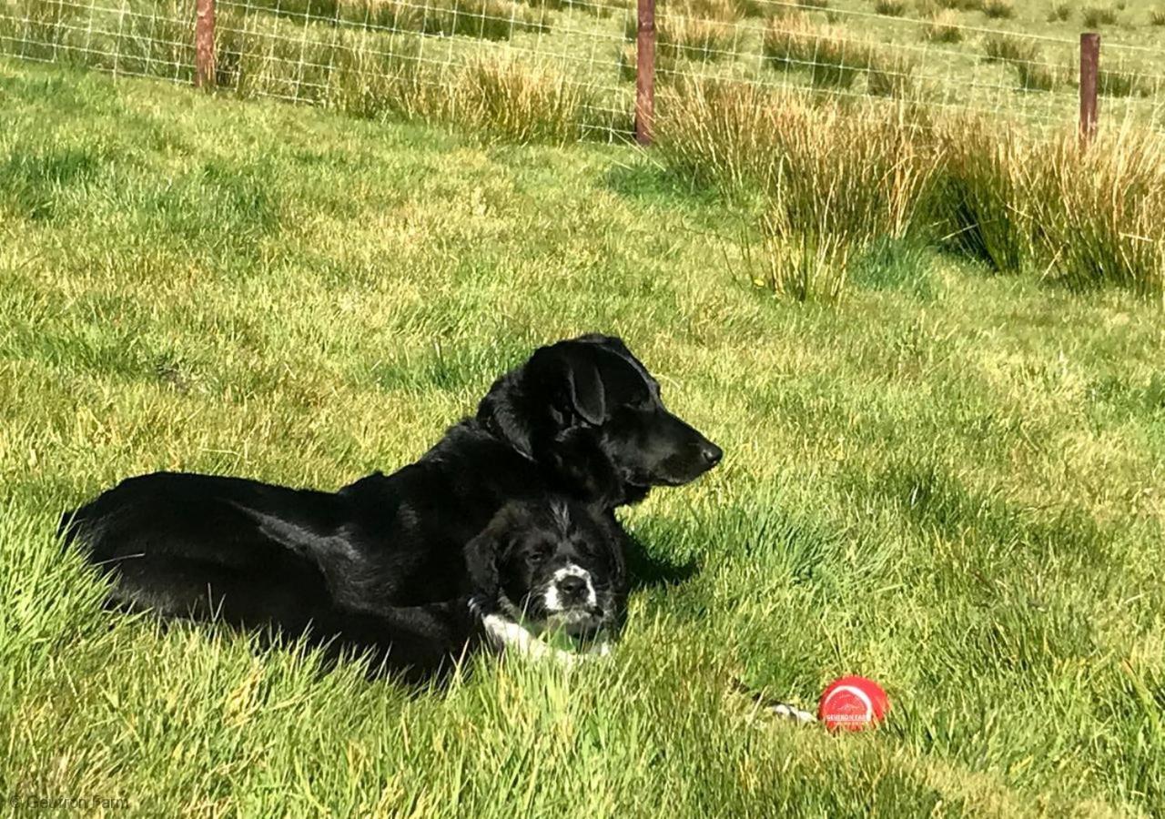 Villa The Barn At Geufron Farm - Dog Friendly - Nr Tywyn Bryn-crug Esterno foto