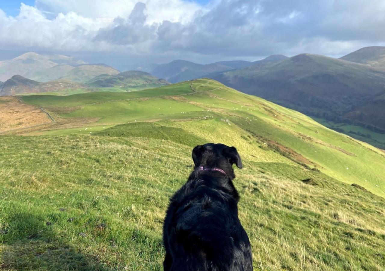 Villa The Barn At Geufron Farm - Dog Friendly - Nr Tywyn Bryn-crug Esterno foto