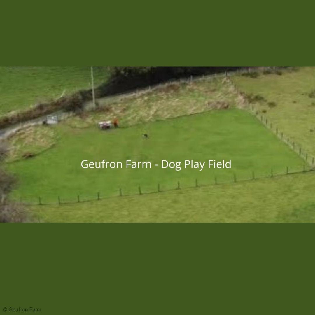 Villa The Barn At Geufron Farm - Dog Friendly - Nr Tywyn Bryn-crug Esterno foto